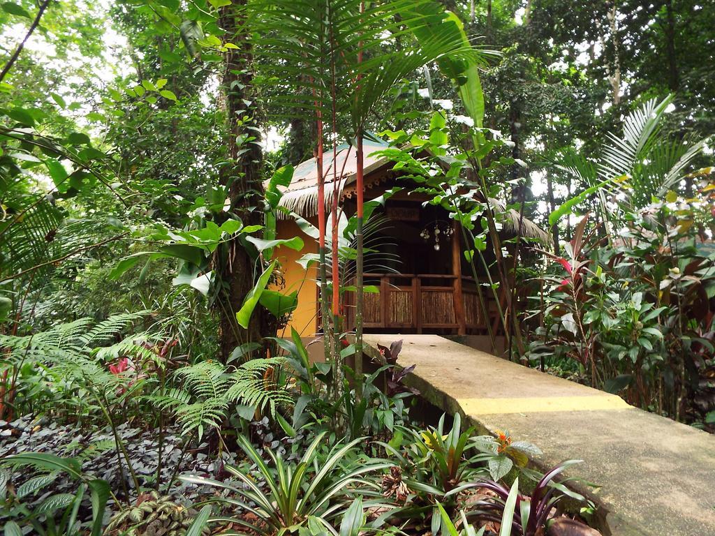 Korrigan Lodge Cahuita Camera foto