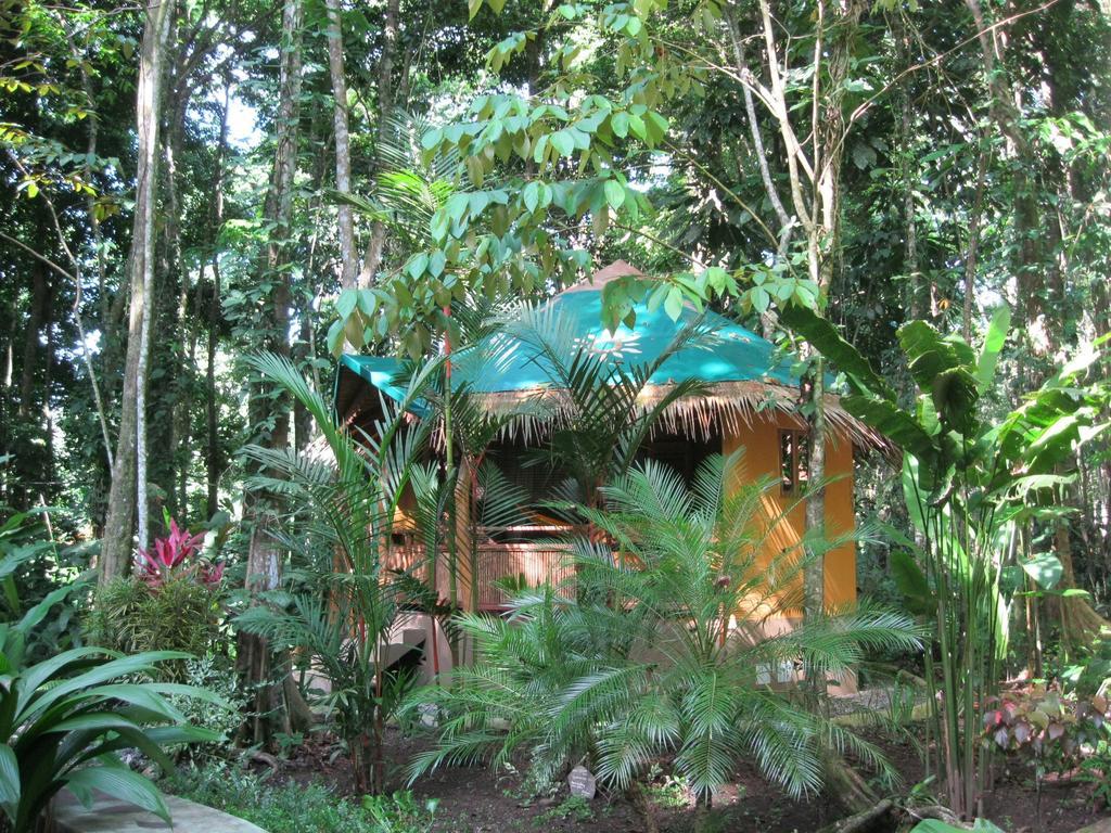 Korrigan Lodge Cahuita Camera foto
