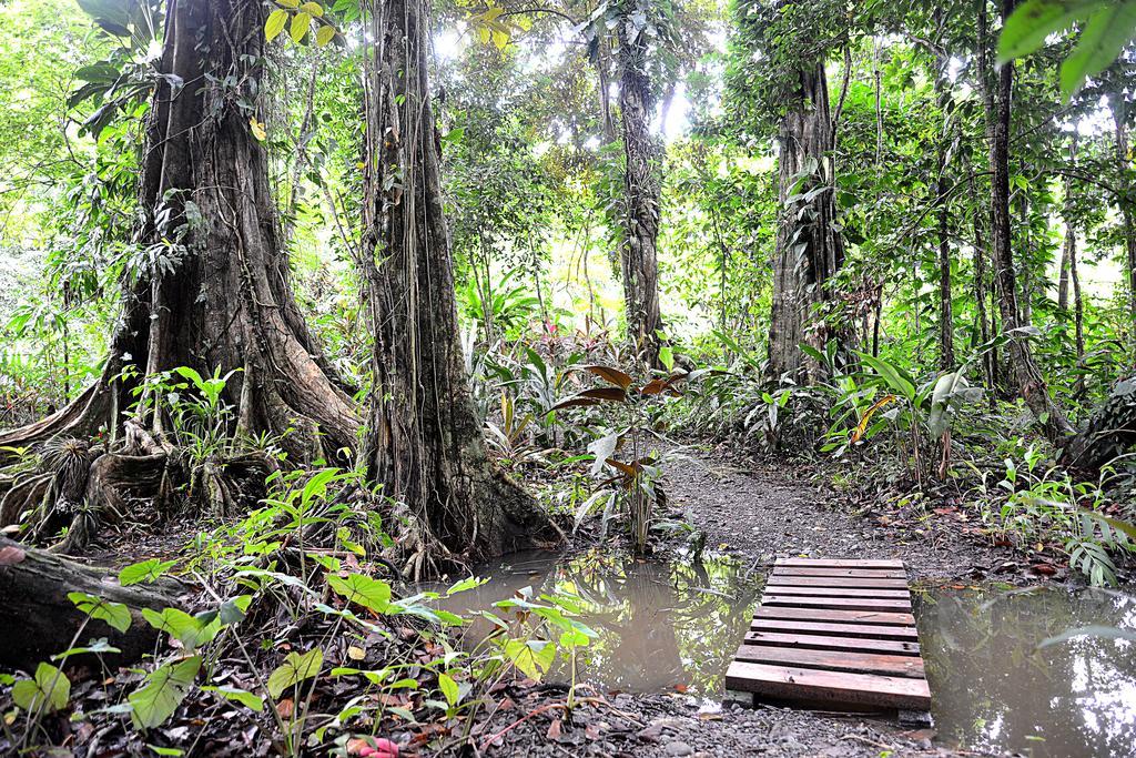 Korrigan Lodge Cahuita Esterno foto