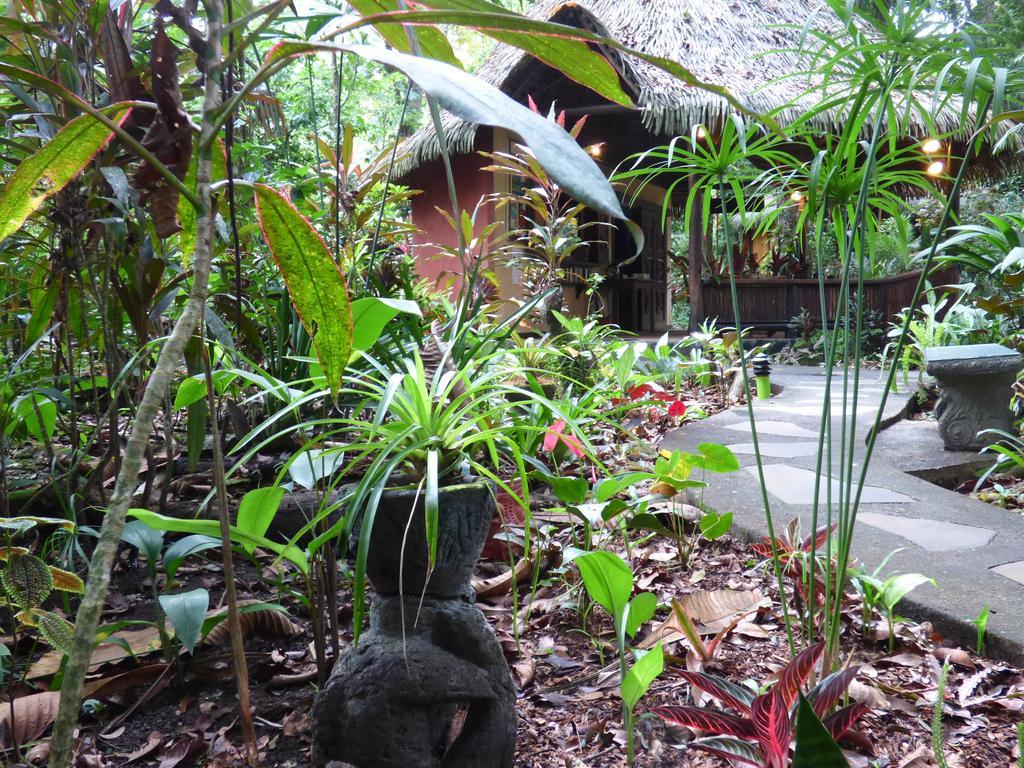Korrigan Lodge Cahuita Esterno foto
