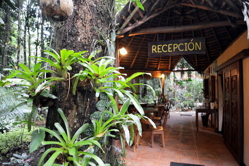 Korrigan Lodge Cahuita Esterno foto