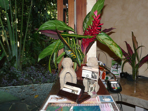 Korrigan Lodge Cahuita Esterno foto